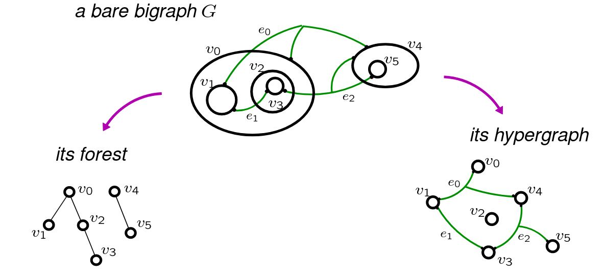 bare bigraph